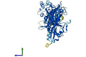 Protein Structure (PS) image for Calpain 5 (CAPN5) (AA 1-640) protein (His tag) (ABIN7562191)
