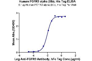 Immobilized Human FGFR3 alpha (IIIb) at 1 μg/mL (100 μL/well) on the plate.