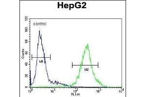 IL1RN Antibody (C-term) (ABIN1882098 and ABIN2840789) flow cytometric analysis of HepG2 cells (right histogram) compared to a negative control cell (left histogram). (IL1RN Antikörper  (C-Term))