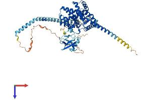 PDE9A Protein (AA 1-593) (His tag)