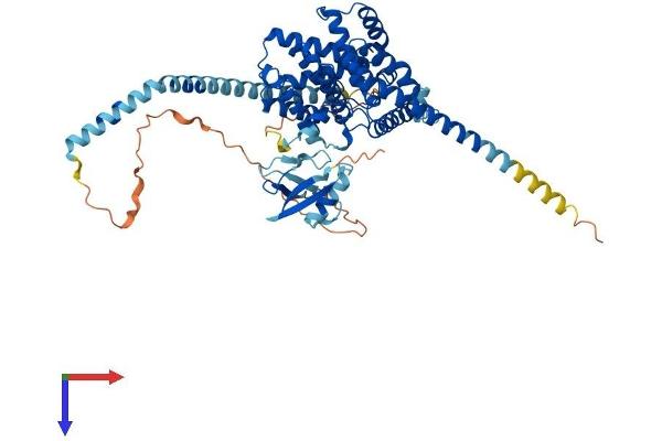 PDE9A Protein (AA 1-593) (His tag)