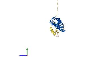 Protein Structure (PS) image for Regulator of G-Protein Signalling 19 (RGS19) (AA 1-216) protein (His tag) (ABIN7560707)