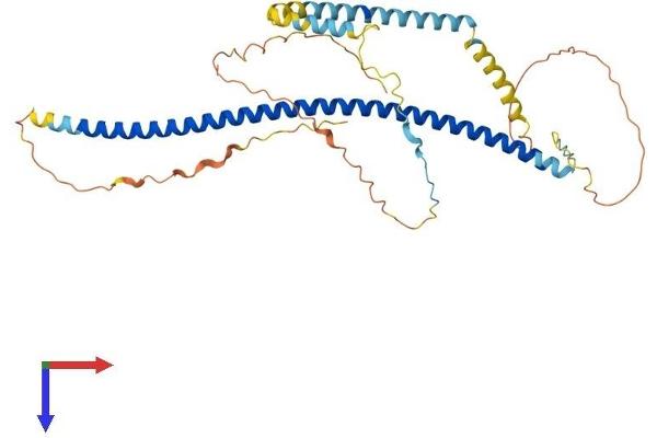 PTRF Protein (AA 1-390) (His tag)