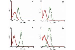 Flow cytometry analysis of 5-bromodeoxyuridin (BrdU) incorporation in CEM human acute lymphoblastic leukemia cell line using purified anti-5-bromodeoxyuridin (MoBu-1) (detection by Goat anti-mouse IgG1 FITC). (FAS Antikörper  (PE))