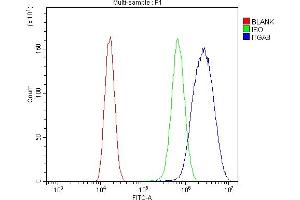 Flow Cytometry analysis of 293T cells using anti-ITGA8 antibody (ABIN7601411).