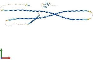 Protein Structure (PS) image for Golgin A1 (GOLGA1) (AA 1-758) protein (His tag) (ABIN7560656)