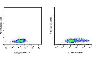 Detection of IFN-ү by flow cytometry in viable ferret spleen cells. (Interferon gamma Antikörper  (PromoFluor 647 Premium))