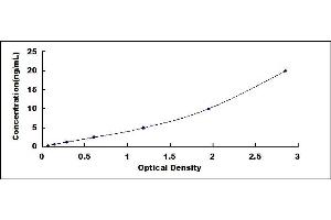 Typical standard curve (IDO ELISA Kit)