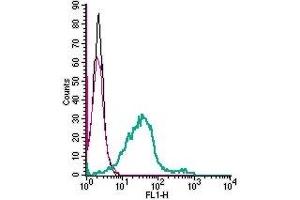 Cell surface detection of GPR55 in live intact mouse BV-2 microglia cells: (black line) Cells. (GPR55 Antikörper  (Extracellular))