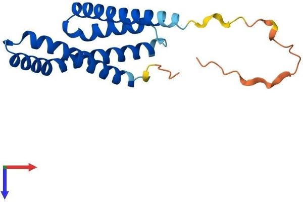 TIMM17B Protein (AA 1-172) (His tag)