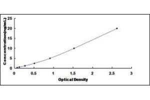 Typical standard curve (EML2 ELISA Kit)