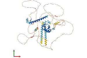 AlphaFold protein structure predicition of Human Recombinant FOXP4 Protein, UniprotID Q8IVH2 (FOXP4 Protein (AA 1-680) (His tag))