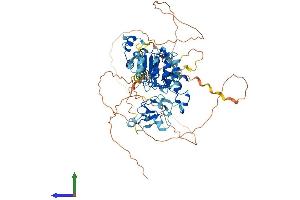 Protein Structure (PS) image for F-Box and Leucine-Rich Repeat Protein 19 (FBXL19) (AA 1-694) protein (His tag) (ABIN7547856)