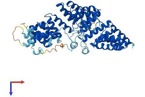 TTC8 Protein (AA 1-515) (His tag)