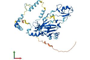 AlphaFold protein structure predicition of Human Recombinant SNAPC3 Protein, UniprotID Q92966