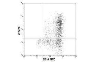 Flow Cytometry (FACS) image for anti-Chemokine (C-C Motif) Ligand 2 (CCL2) antibody (PE) (ABIN2663844) (CCL2 Antikörper  (PE))