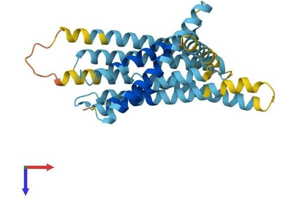 TAS2R5 Protein (AA 1-299) (His tag)