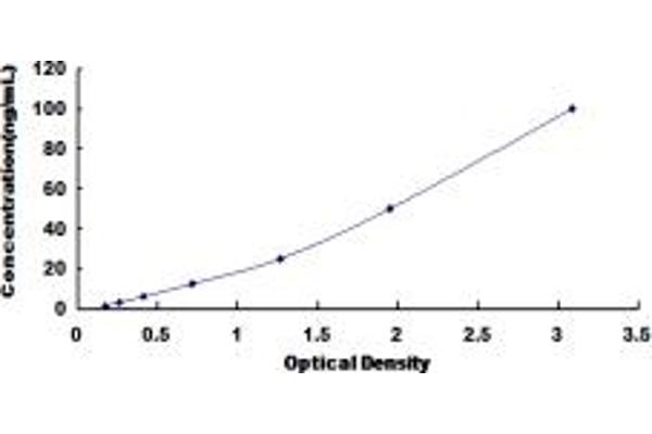 Lactate Dehydrogenase C ELISA Kit