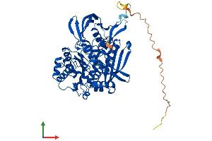 Protein Structure (PS) image for Inositol-3-Phosphate Synthase 1 (ISYNA1) (AA 1-558) protein (His tag) (ABIN7548532)