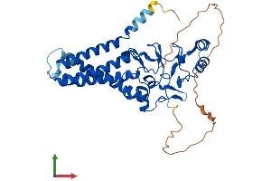 AlphaFold protein structure predicition of Human Recombinant ZDHHC2 Protein, UniprotID Q9UIJ5