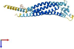 GPM6B Protein (AA 1-265) (His tag)
