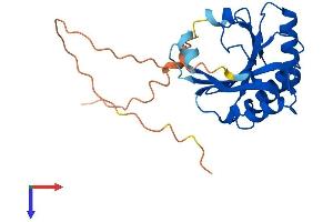 EIF4E2 Protein (AA 1-245) (His tag)