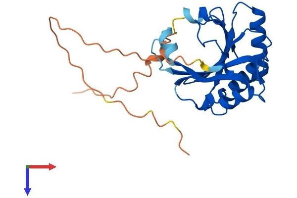 EIF4E2 Protein (AA 1-245) (His tag)