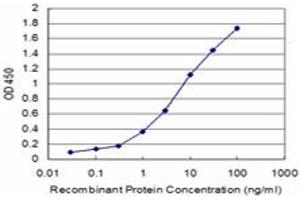 Detection limit for recombinant GST tagged LHX4 is approximately 0. (LHX4 Antikörper  (AA 208-306))