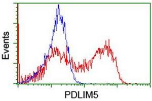 Flow Cytometry (FACS) image for anti-PDZ and LIM Domain 5 (PDLIM5) antibody (ABIN1500132) (PDLIM5 Antikörper)
