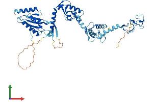 Protein Structure (PS) image for Ring Finger Protein 14 (RNF14) (AA 1-474) protein (His tag) (ABIN7551460)