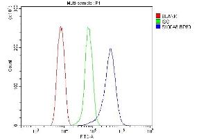 Flow Cytometry analysis of HEPA 1-6 cells using anti-S100A8 antibody (ABIN3042481). (S100A8 Antikörper  (AA 2-89))