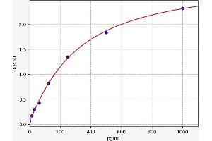 Interleukin 29 (IL29) ELISA Kit