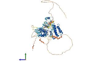 Protein Structure (PS) image for BR serine/threonine Kinase 2 (BRSK2) (AA 1-735) protein (His tag) (ABIN7564016)