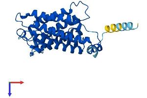 Aquaporin 5 Protein (AQP5) (AA 1-265) (His tag)
