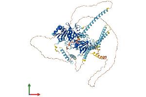 AlphaFold protein structure predicition of Mouse Recombinant Morc3 Protein, UniprotID F7BJB9