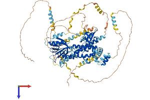 EPS8 Protein (AA 1-822) (His tag)