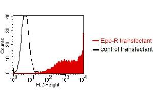 BOSC23 cells were transiently transfected with an expression vector encoding either Epo-R (red curve) or an irrelevant protein (control transfectant). (EPOR Antikörper)