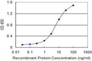 Detection limit for recombinant GST tagged FUBP1 is 0. (FUBP1 Antikörper  (AA 1-653))