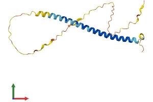 AlphaFold protein structure predicition of Human Recombinant SCOC Protein, UniprotID Q9UIL1