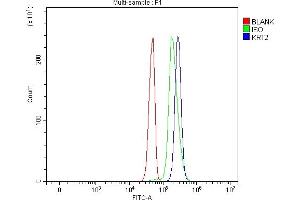 Flow Cytometry analysis of Jurkat cells using anti-Cytokeratin 2e/KRT2 antibody (ABIN7600644). (Keratin 2 Antikörper  (AA 213-332))