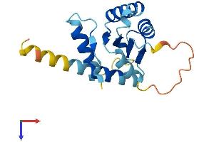 GADD45A Protein (AA 1-165) (His tag)