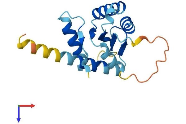 GADD45A Protein (AA 1-165) (His tag)