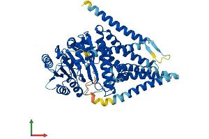 Protein Structure (PS) image for Hyaluronan Synthase 2 (HAS2) (AA 1-552) protein (His tag) (ABIN7563522)