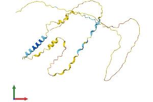 Protein Structure (PS) image for Dysbindin (Dystrobrevin Binding Protein 1) Domain Containing 2 (DBNDD2) (AA 1-259) protein (His tag) (ABIN7546964)