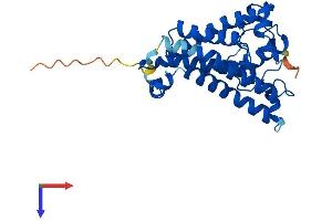 CH25H Protein (AA 1-272) (His tag)