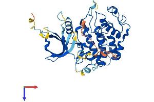 CDK9 Protein (AA 1-372) (His tag)