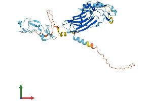 Protein Structure (PS) image for Integrin beta 1 Binding Protein (Melusin) 2 (ITGB1BP2) (AA 1-347) protein (His tag) (ABIN7548590)