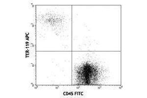 Flow Cytometry (FACS) image for anti-Erythroid Cells antibody (APC) (ABIN2667351) (Erythroid Cells Antikörper  (APC))