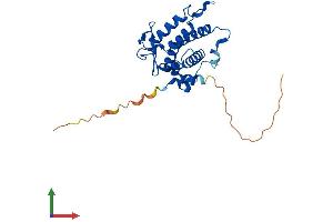 Protein Structure (PS) image for MOB Kinase Activator 2 (MOB2) (AA 1-237) protein (His tag) (ABIN7549422)