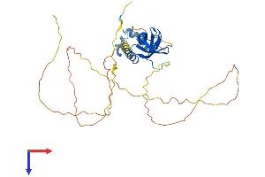 SAMSN1 Protein (AA 1-373) (His tag)